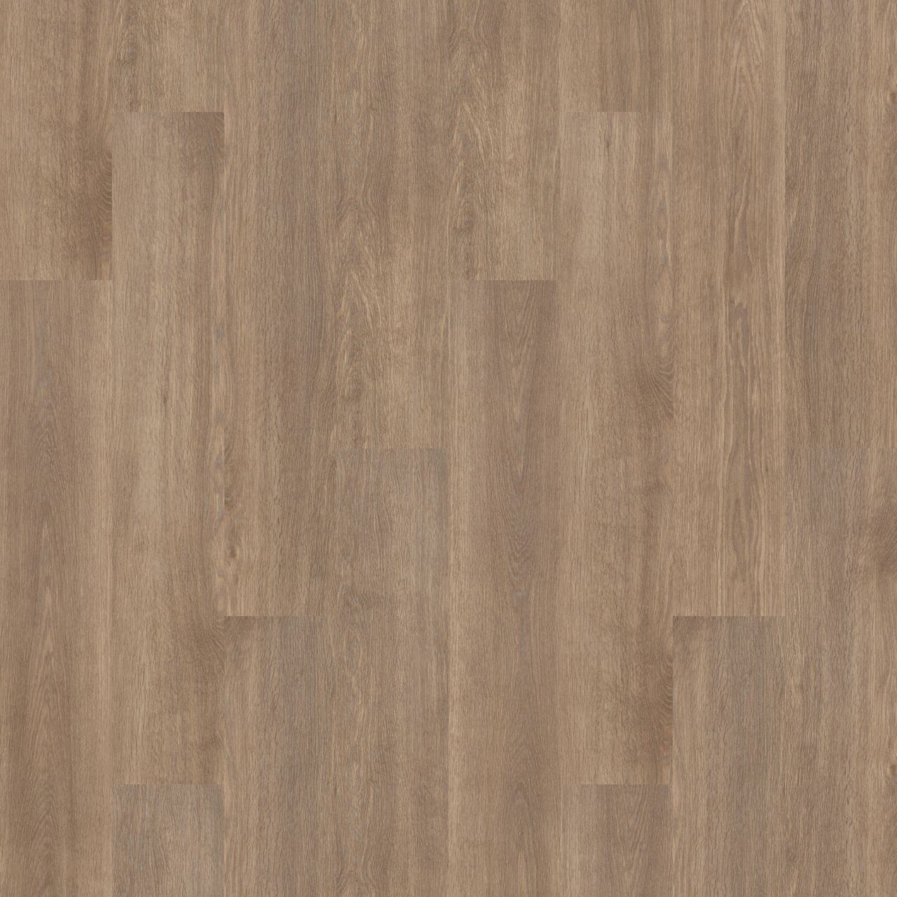 Official Forbo Allura oak vinyl plank grain, top-down product photography.